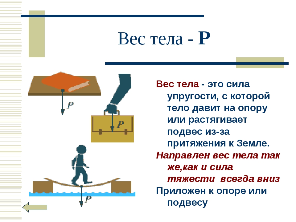 Презентация вес тела