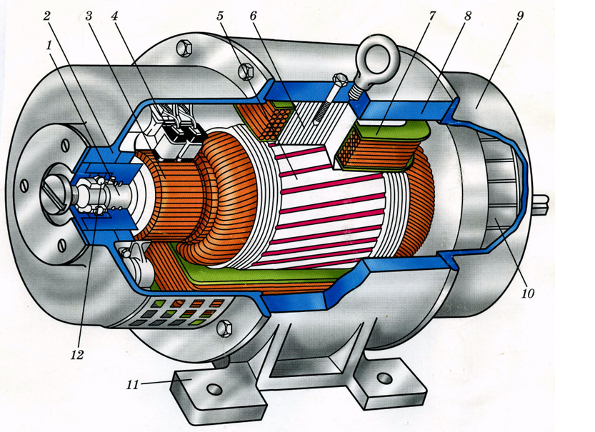 Асинхронный двигатель в разрезе